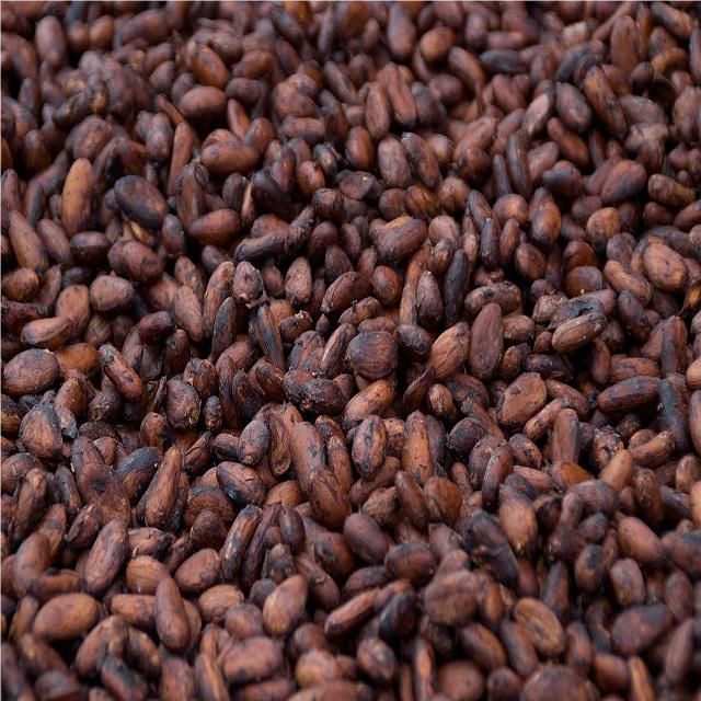 How Cameroonian Youths Can Drop Ship Agricultural Products and Make a Decent Living: A Case Study on Cocoa Beans and Derivatives