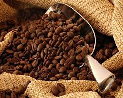 The Journey of Organic Cocoa Beans from Cameroon: From Farm to Chocolate Bar