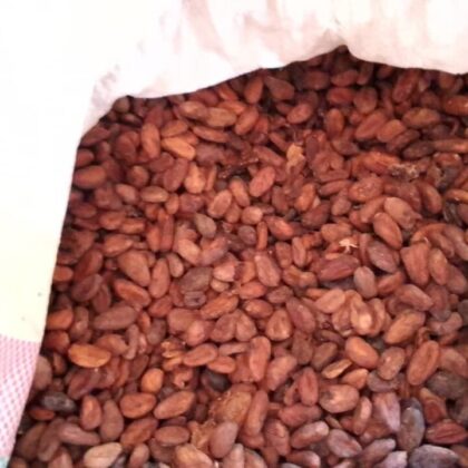 Cocoa beans from Cameroon