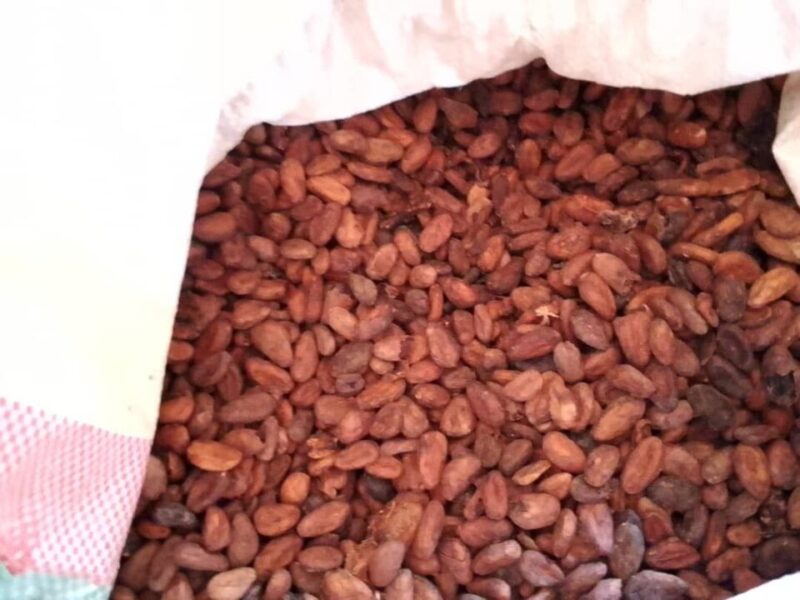 Cocoa beans from Cameroon
