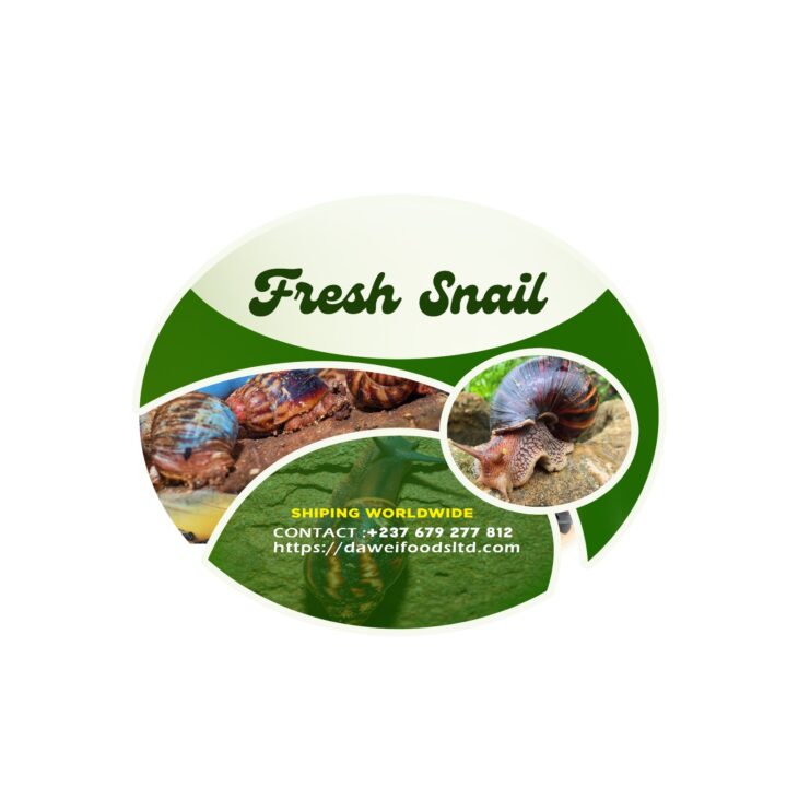 Invest in Snail Trading