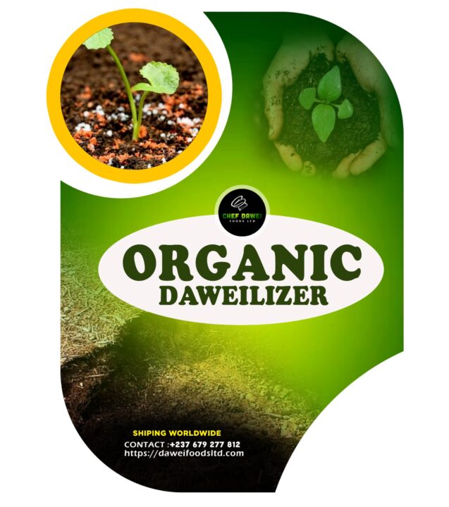 20 Reasons Why the Cameroonian Government Should Subsidize DAWEILIZER