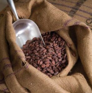 cocoa beans from Africa