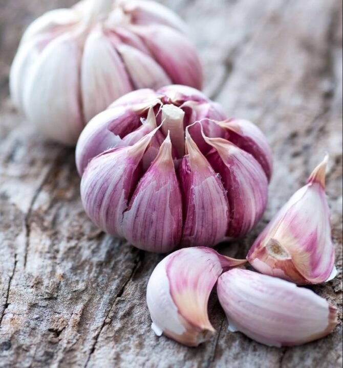Cameroonian pink garlic